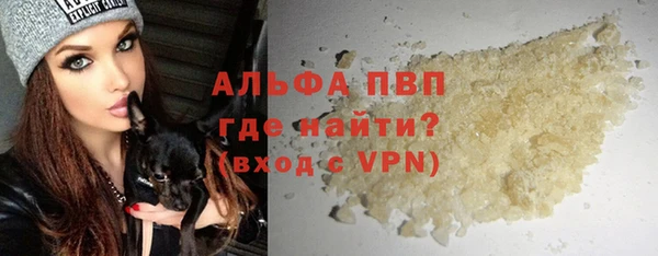 ешки Богданович