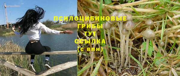 таблы Богородицк