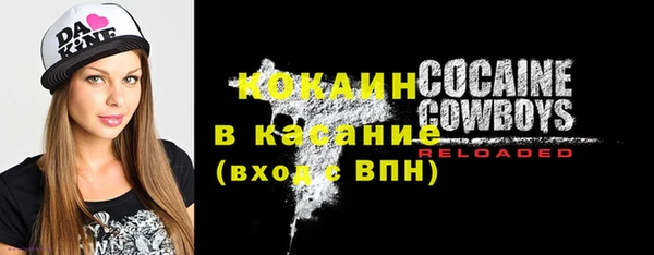 таблы Богородицк