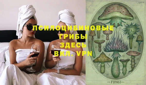 ешки Богданович
