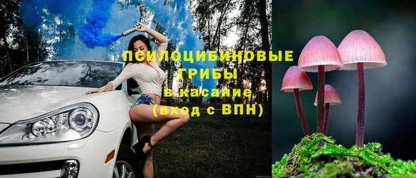 таблы Богородицк