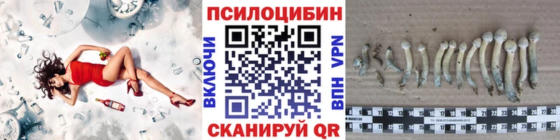 Купить  Иноземцево  Псилоцибиновые грибы GOLDEN TEACHER 